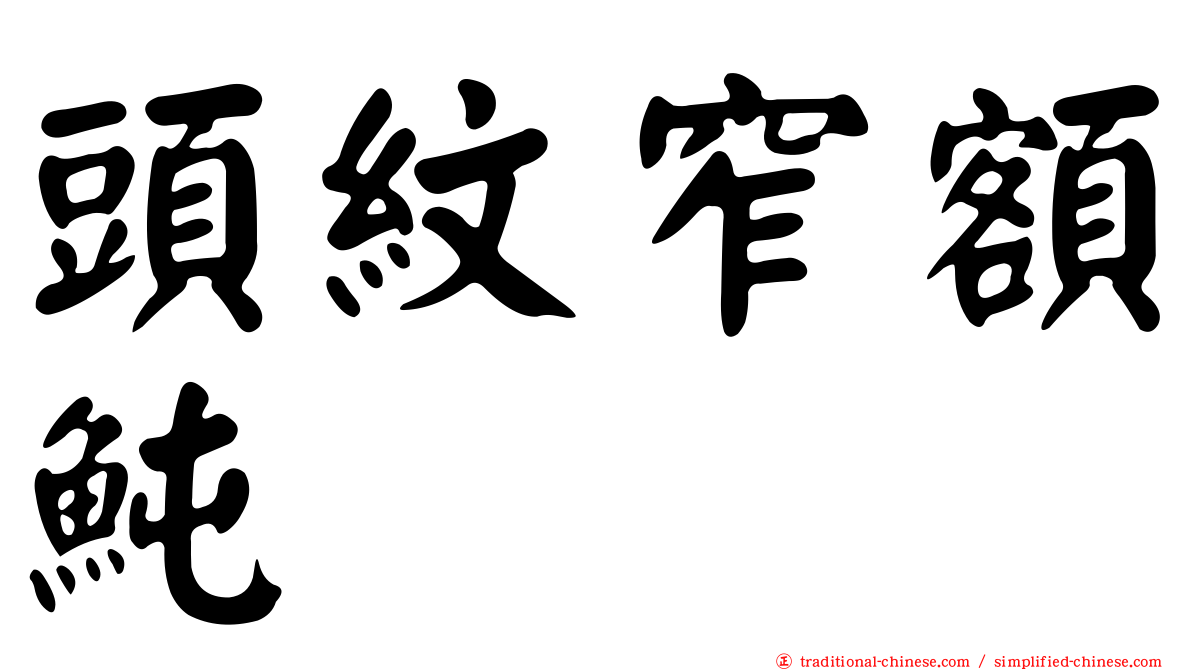 頭紋窄額魨