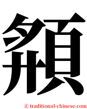 頯 serif font