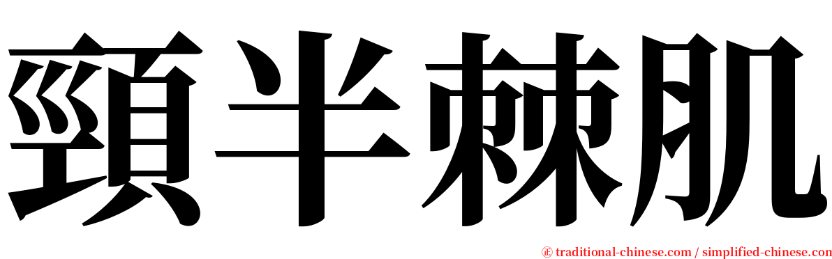 頸半棘肌 serif font