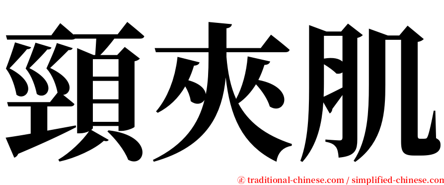 頸夾肌 serif font