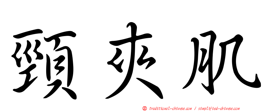 頸夾肌