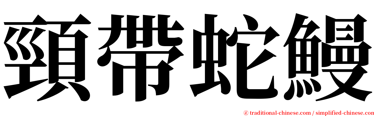 頸帶蛇鰻 serif font
