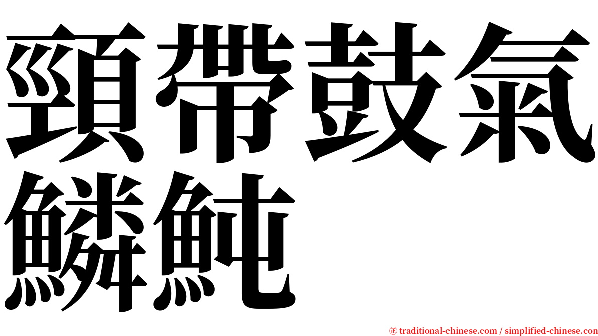 頸帶鼓氣鱗魨 serif font