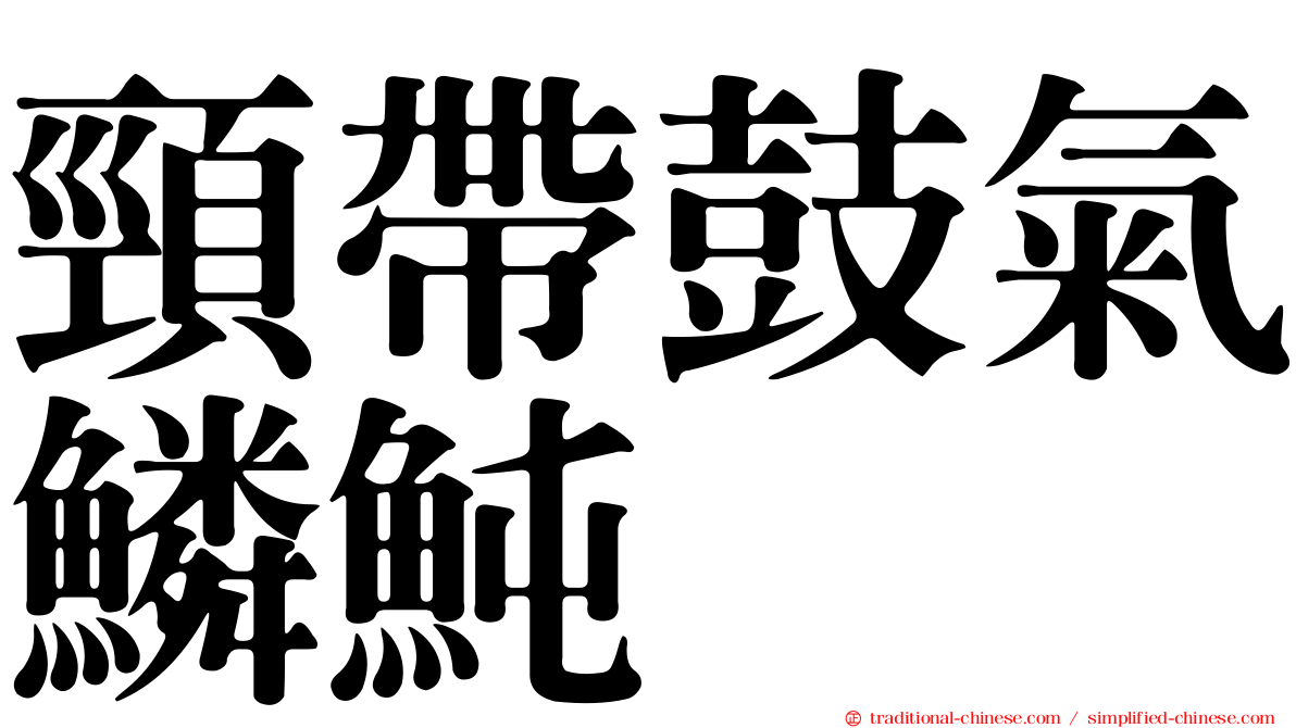 頸帶鼓氣鱗魨