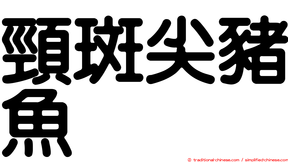 頸斑尖豬魚