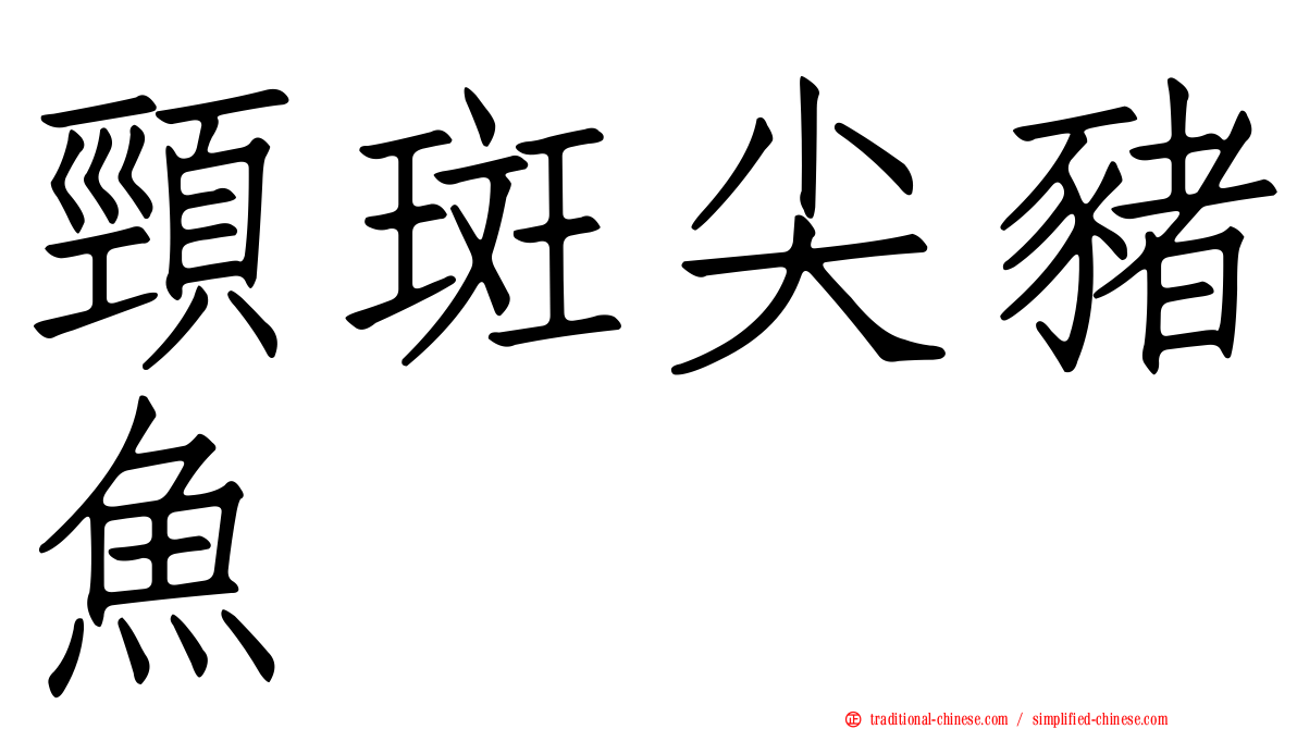 頸斑尖豬魚