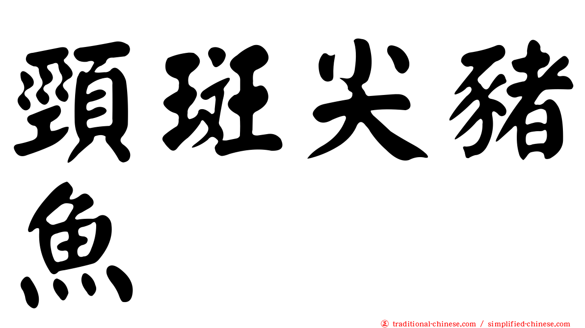 頸斑尖豬魚