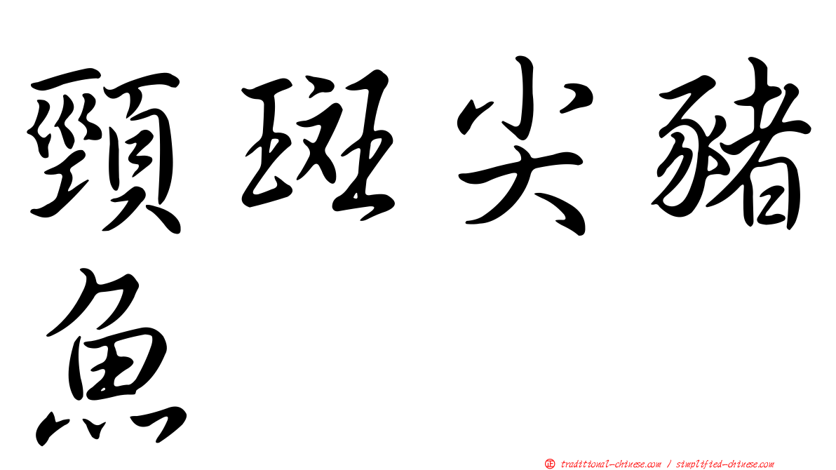 頸斑尖豬魚