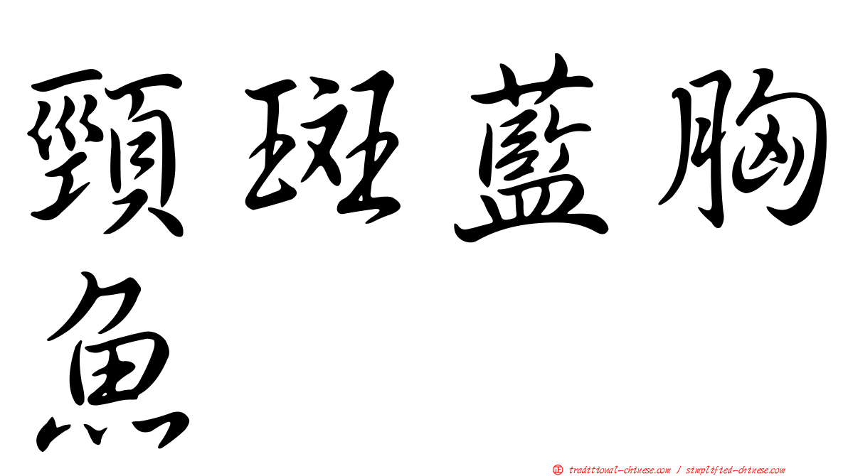 頸斑藍胸魚