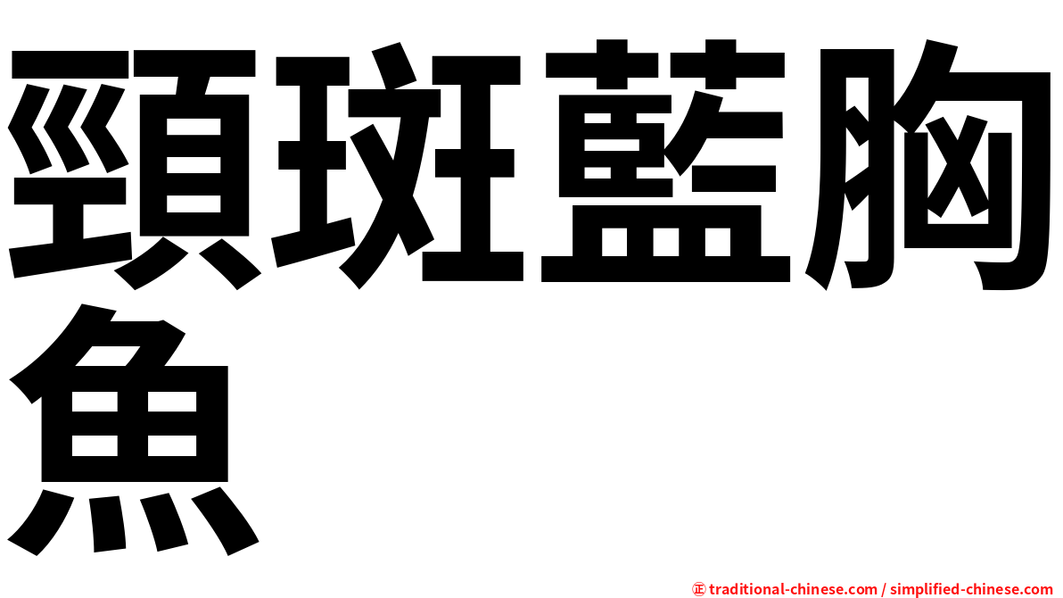 頸斑藍胸魚