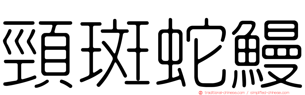 頸斑蛇鰻