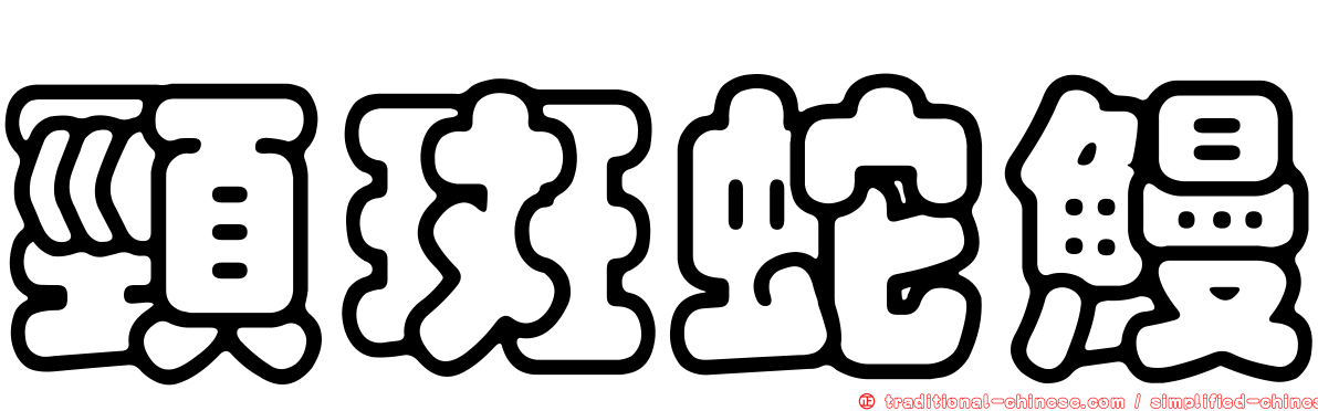 頸斑蛇鰻
