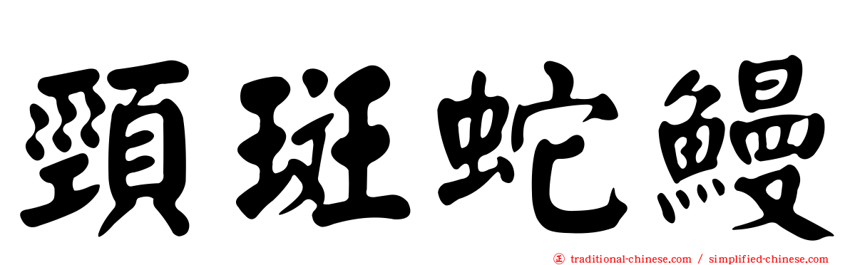 頸斑蛇鰻