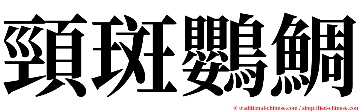 頸斑鸚鯛 serif font