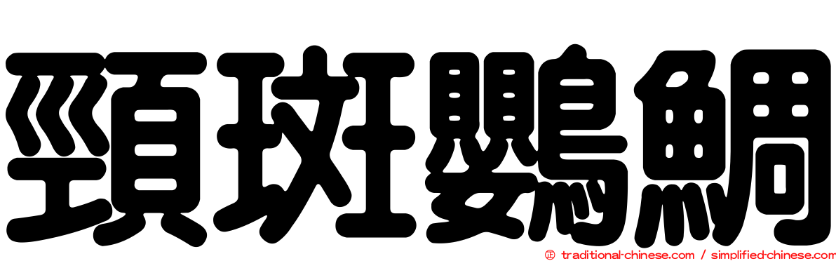 頸斑鸚鯛
