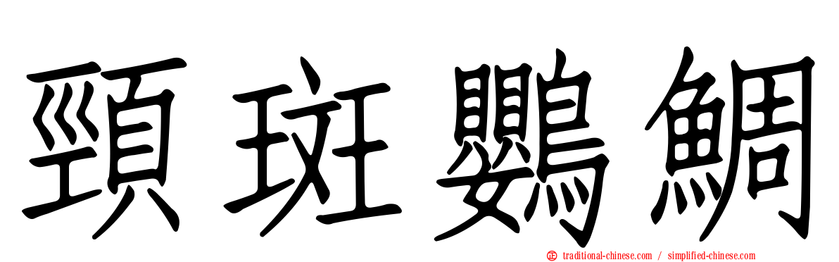頸斑鸚鯛