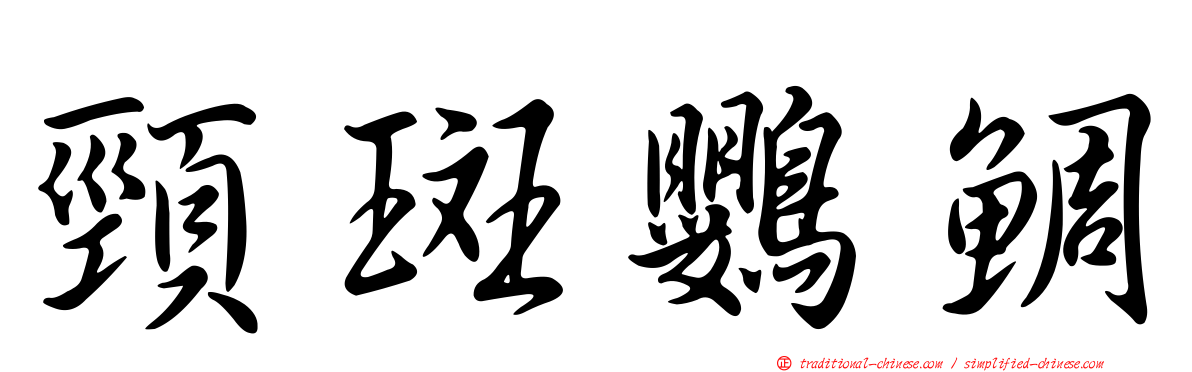 頸斑鸚鯛