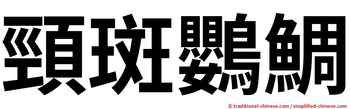 頸斑鸚鯛
