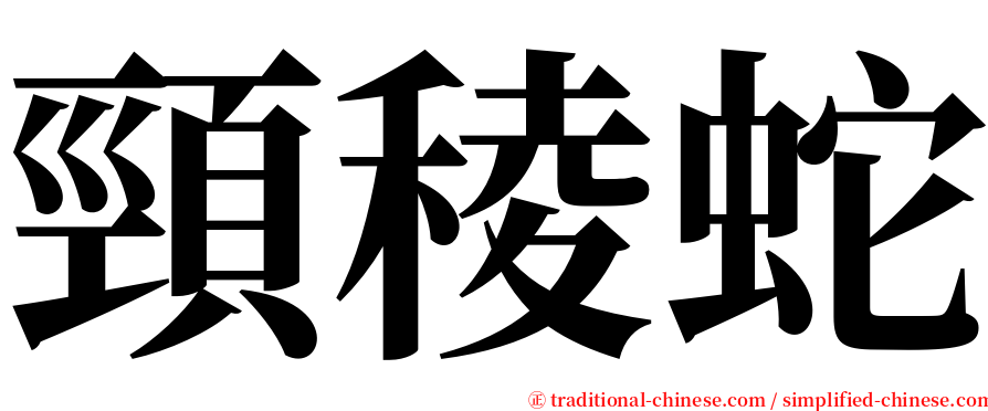 頸稜蛇 serif font
