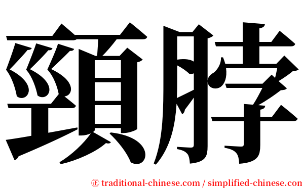 頸脖 serif font