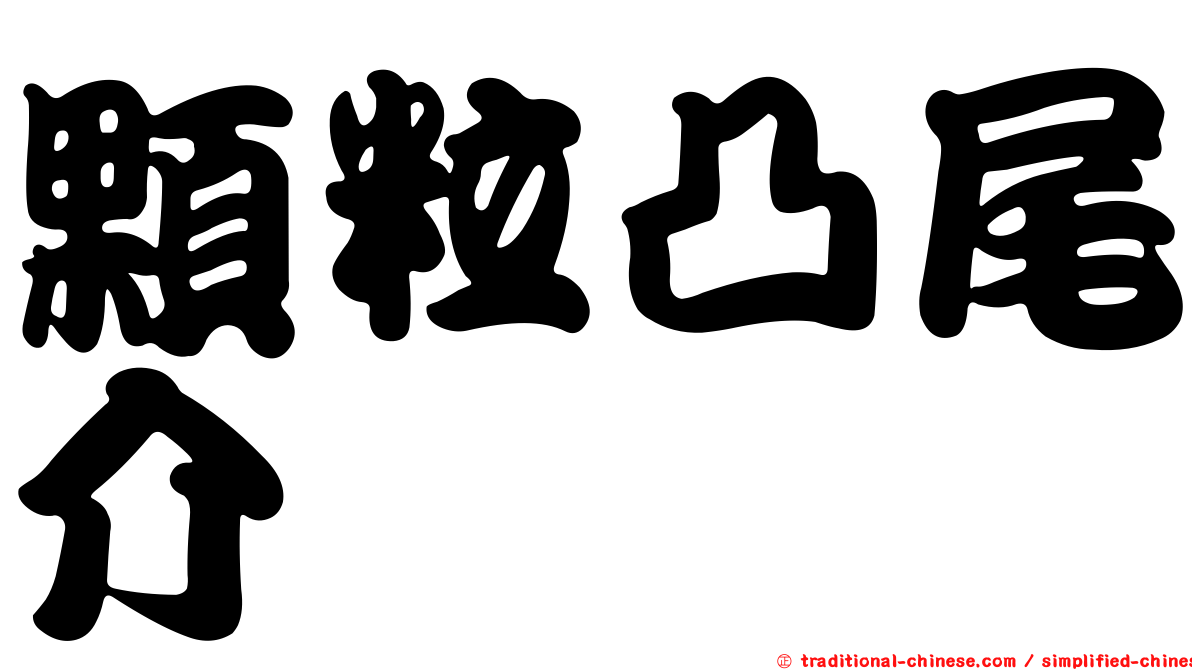 顆粒凸尾介