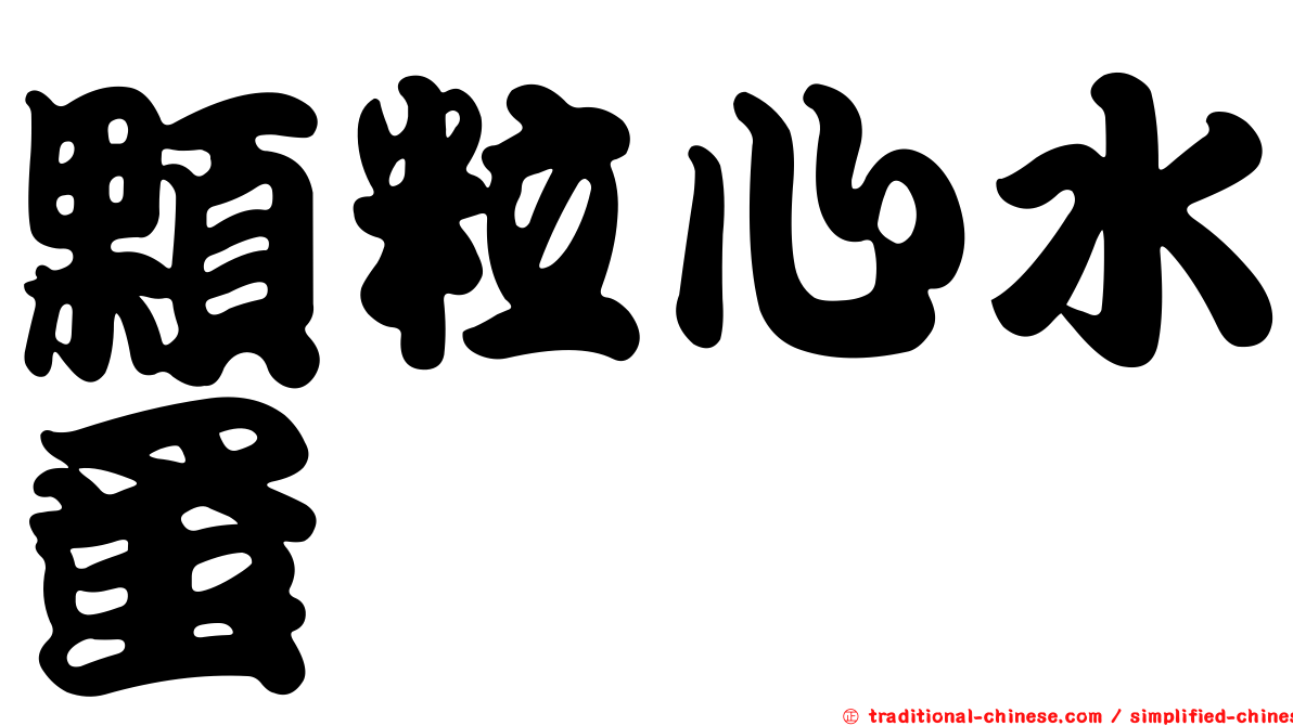顆粒心水蚤
