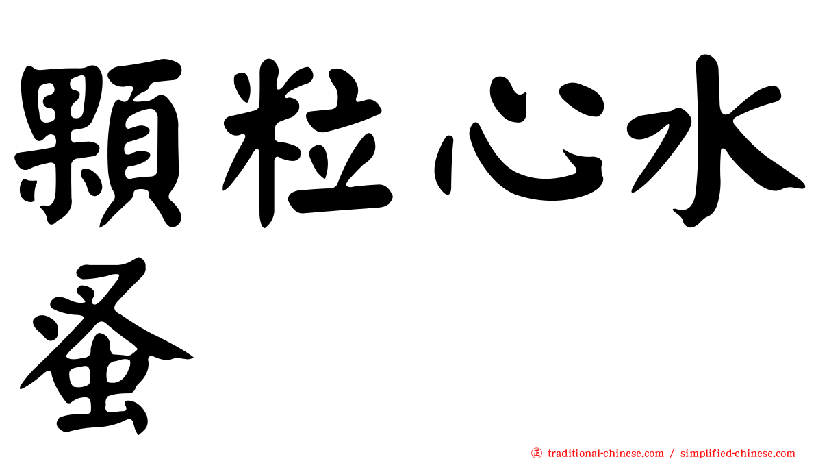 顆粒心水蚤