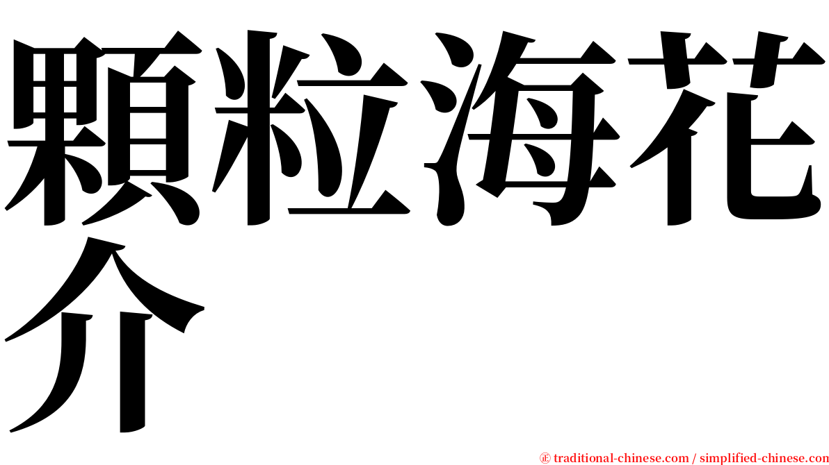 顆粒海花介 serif font