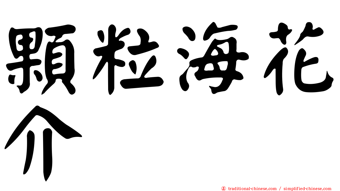 顆粒海花介