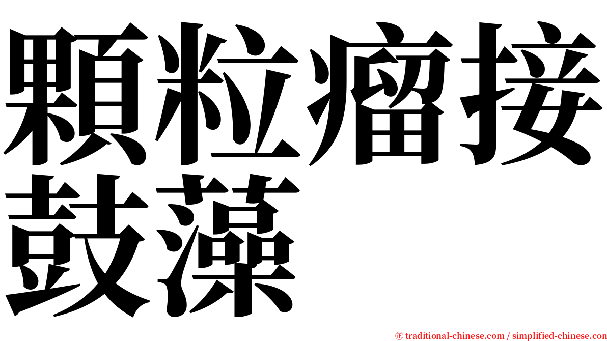 顆粒瘤接鼓藻 serif font