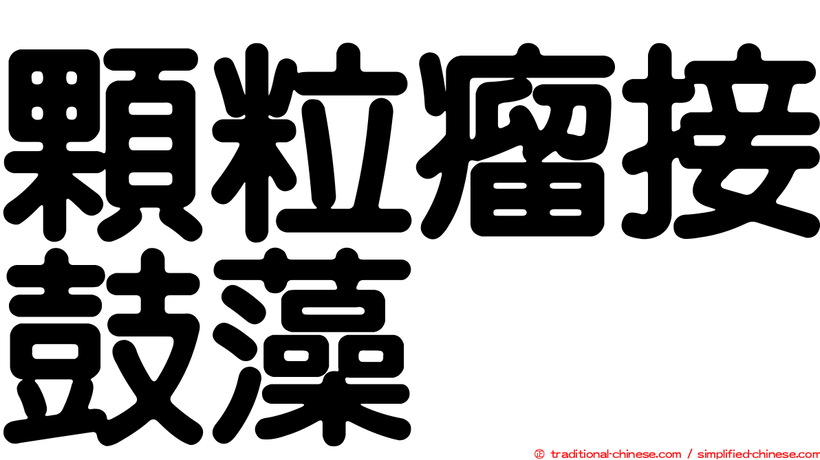 顆粒瘤接鼓藻