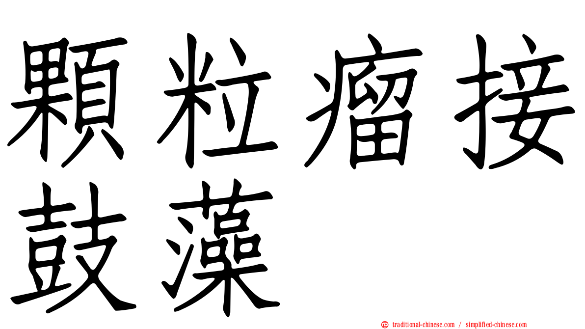顆粒瘤接鼓藻