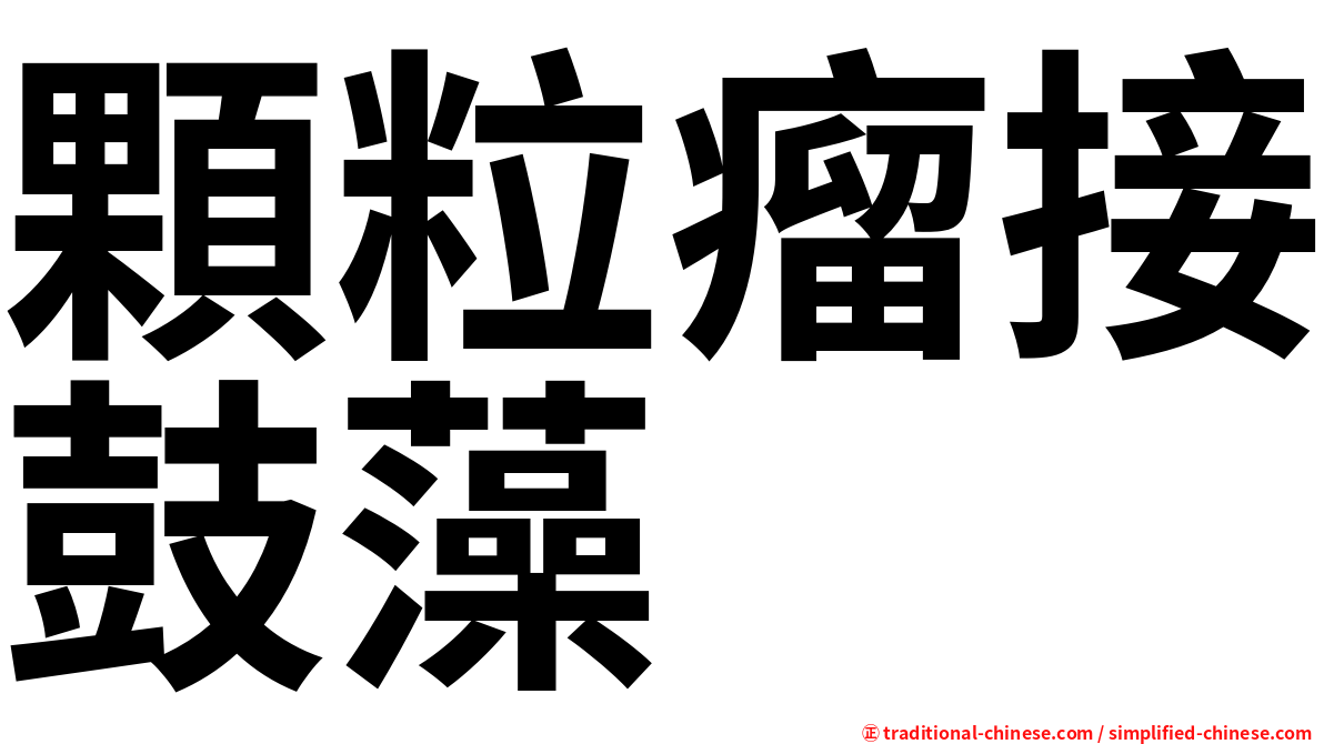顆粒瘤接鼓藻