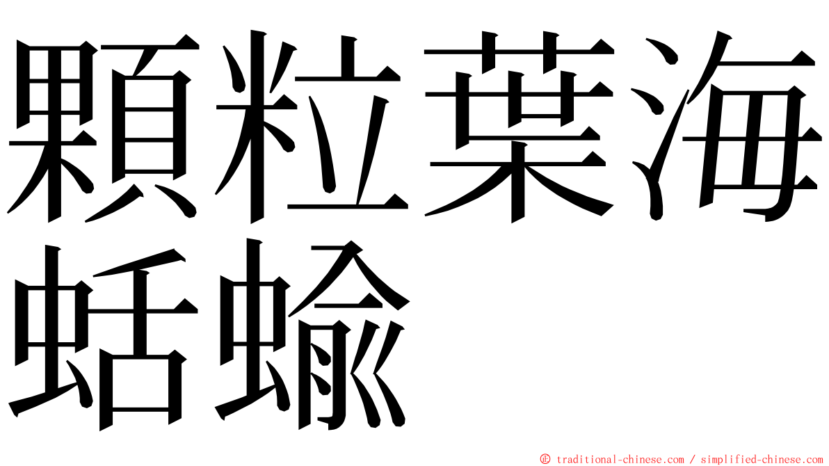 顆粒葉海蛞蝓 ming font