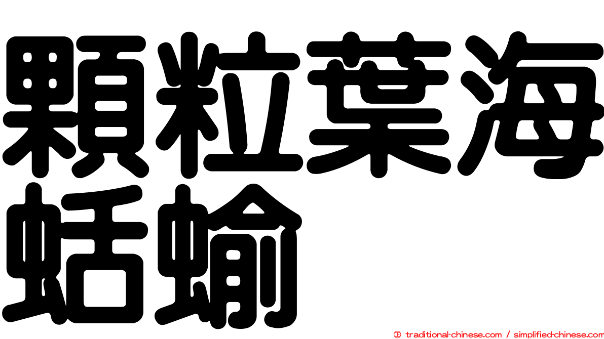 顆粒葉海蛞蝓