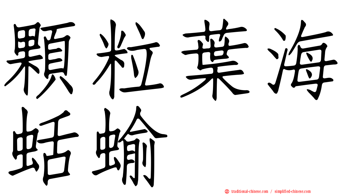 顆粒葉海蛞蝓