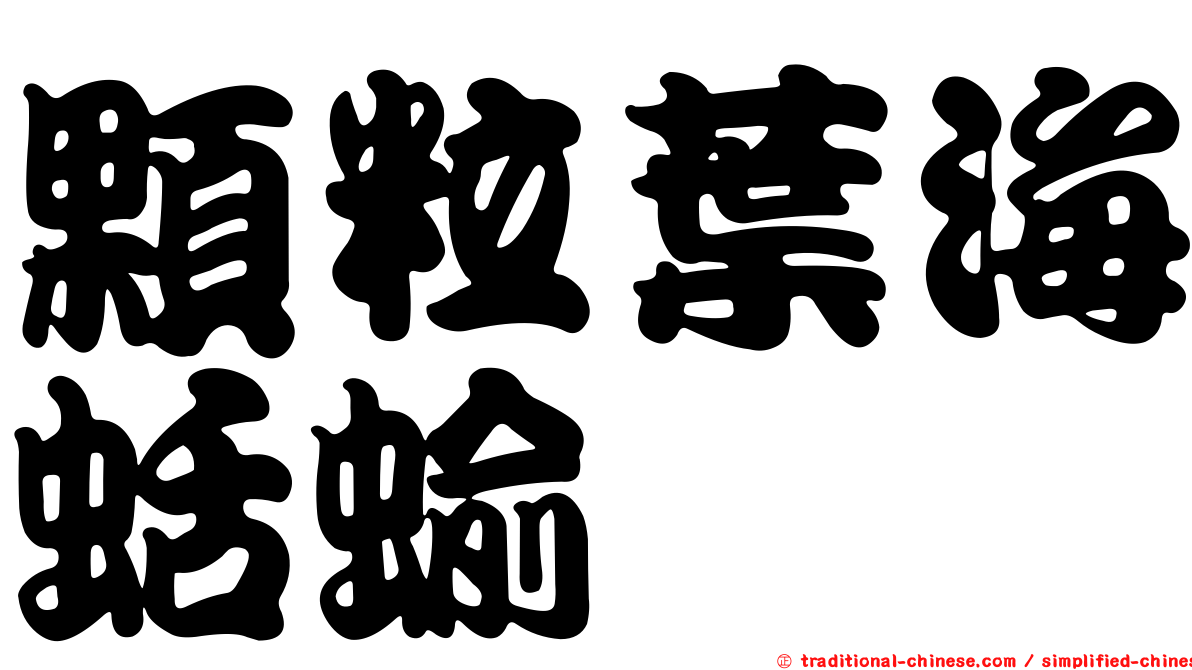 顆粒葉海蛞蝓