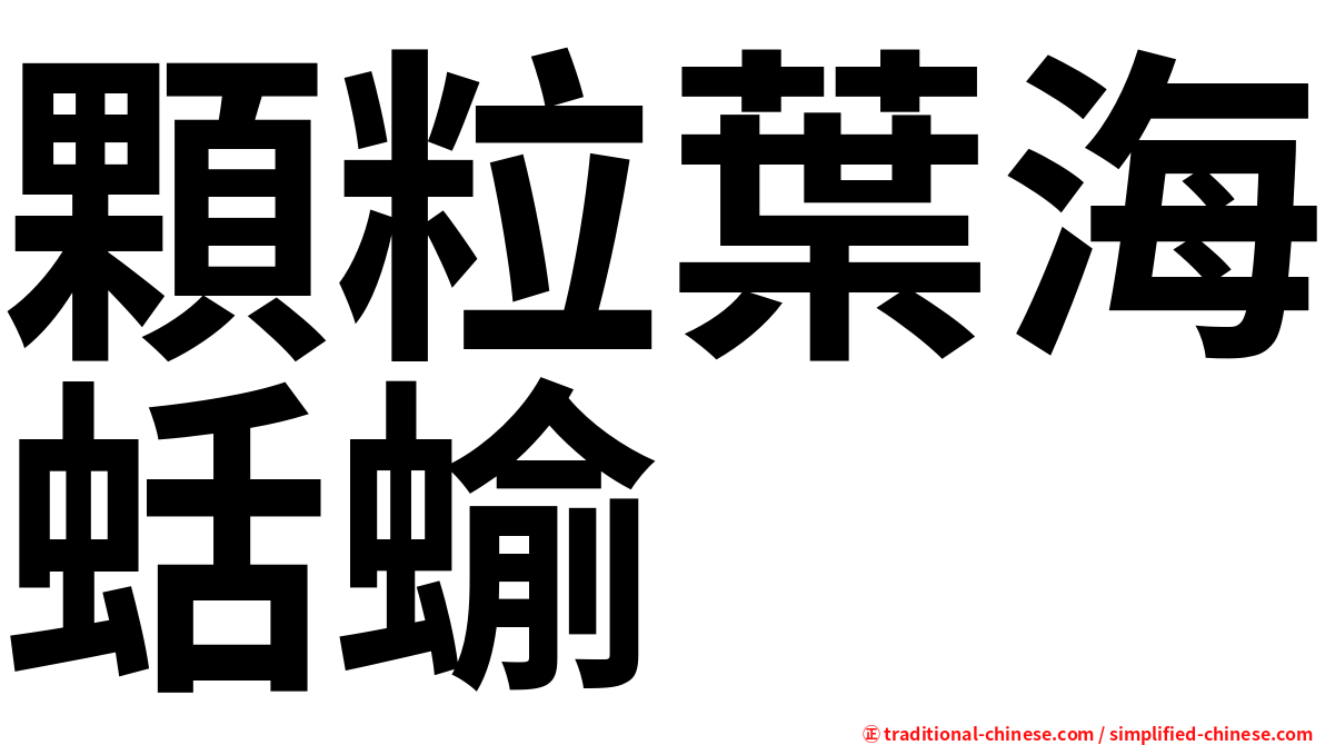 顆粒葉海蛞蝓
