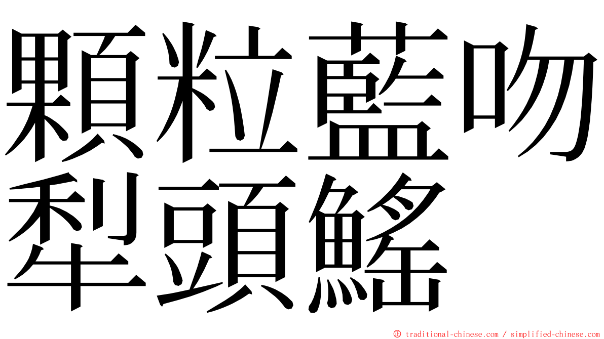 顆粒藍吻犁頭鰩 ming font