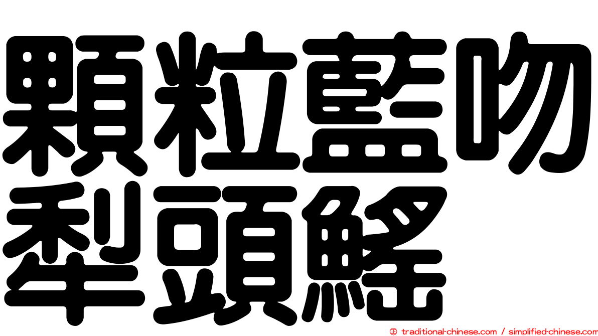 顆粒藍吻犁頭鰩