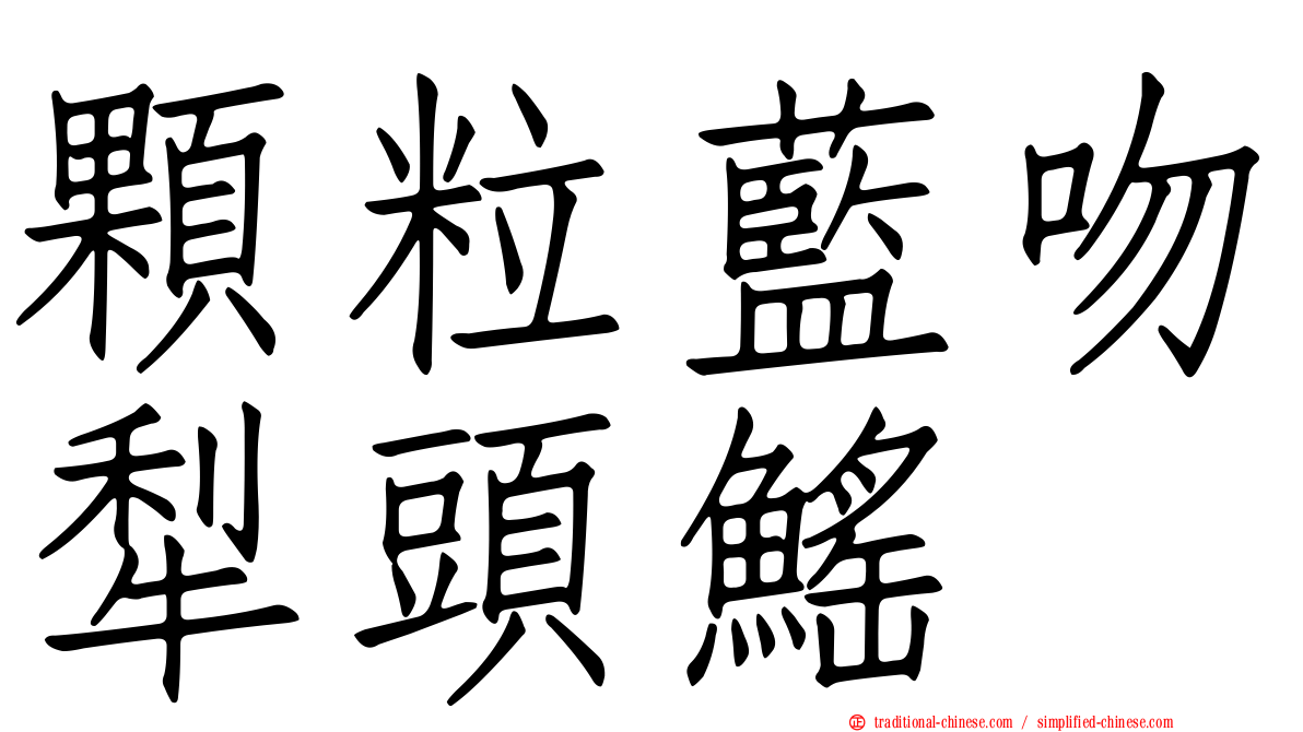 顆粒藍吻犁頭鰩