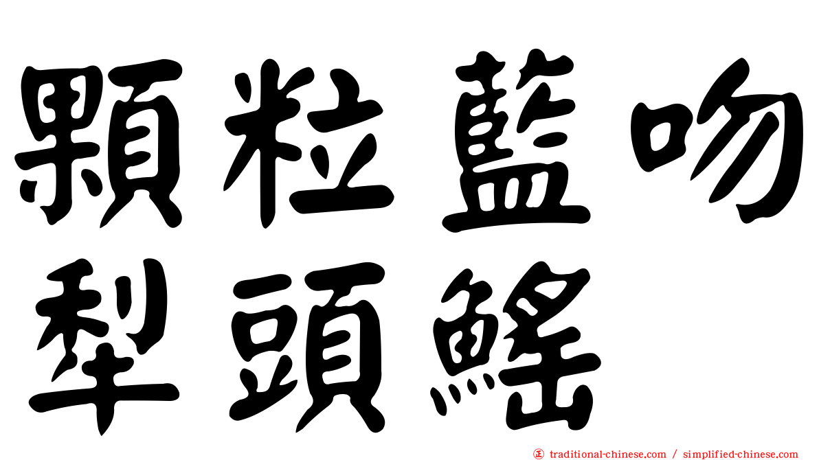 顆粒藍吻犁頭鰩