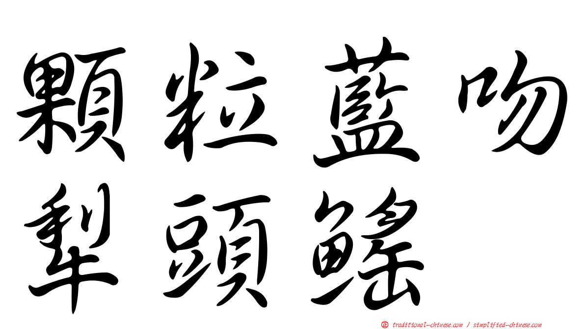 顆粒藍吻犁頭鰩