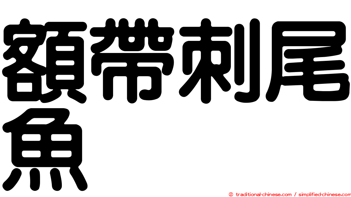 額帶刺尾魚