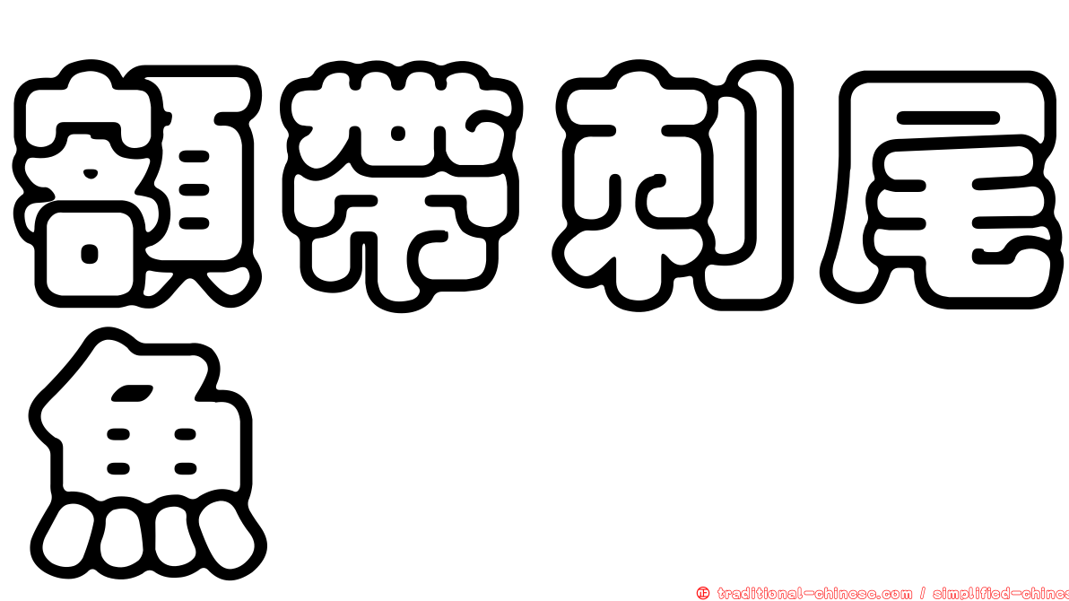 額帶刺尾魚
