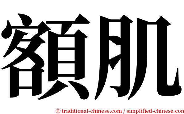 額肌 serif font