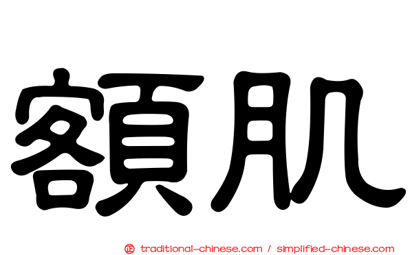 額肌