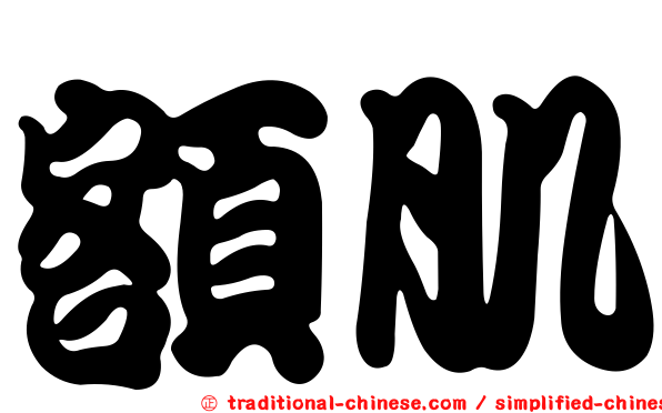 額肌