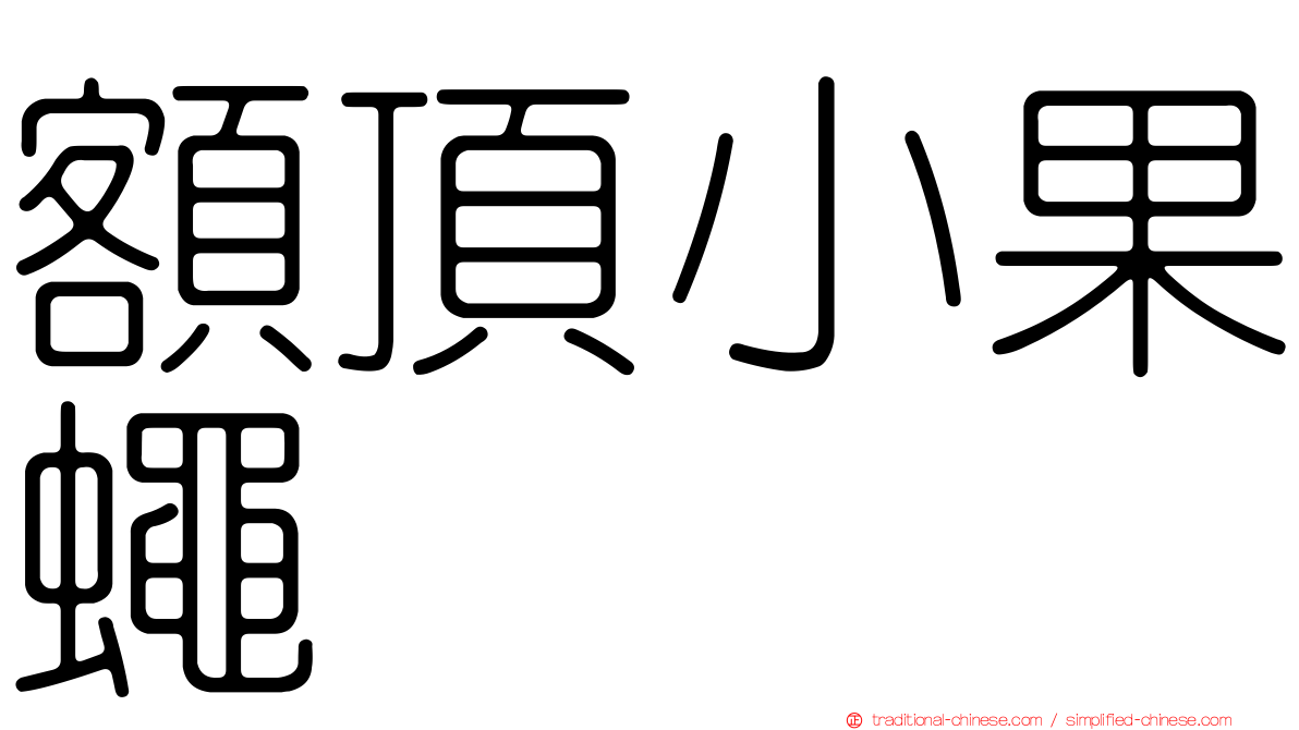 額頂小果蠅