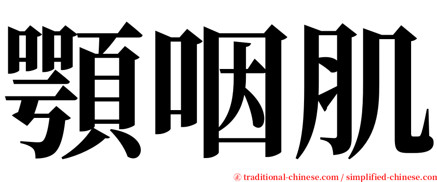 顎咽肌 serif font